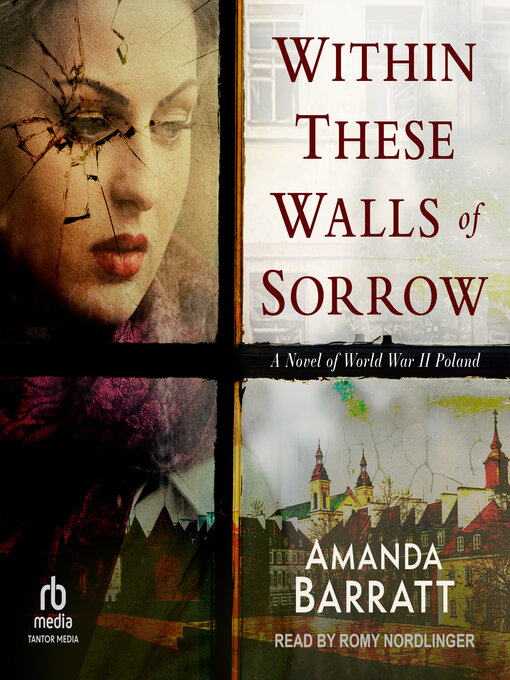 Title details for Within These Walls of Sorrow by Amanda Barratt - Wait list